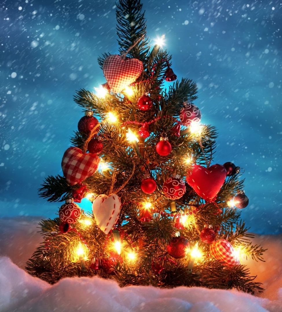 Поздравляем Вас с Новым Годом и Рождеством!